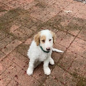 Meet your Posher, Margaret